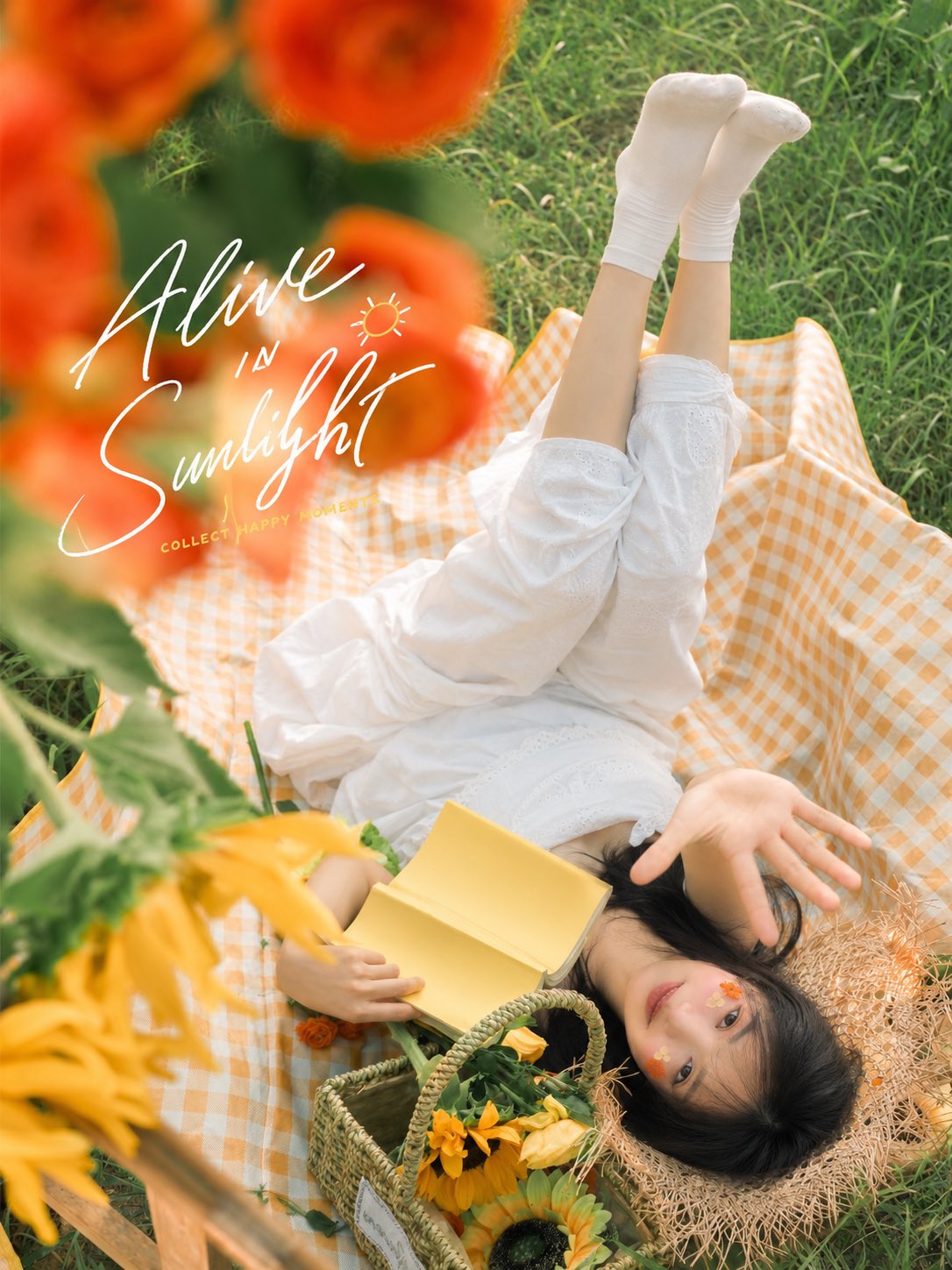 Summer Sunflower Field and Outdoor Picnic Woman Poster