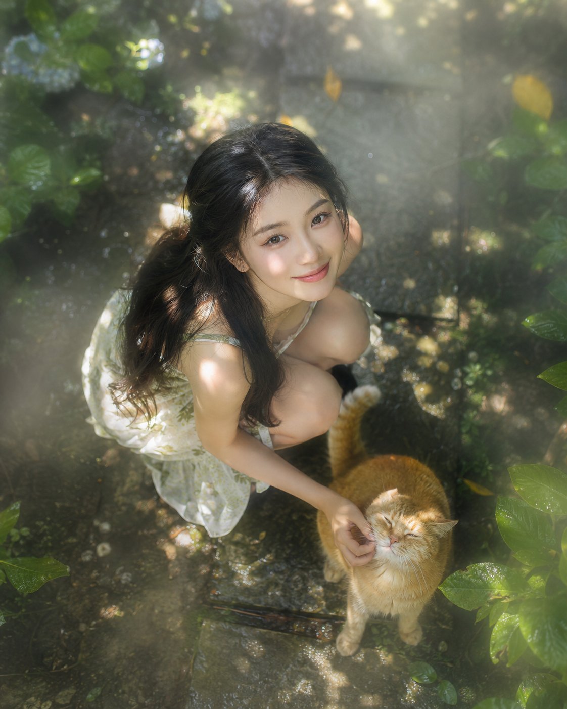 Overhead shot, Tyndall effect, garden girl and orange cat